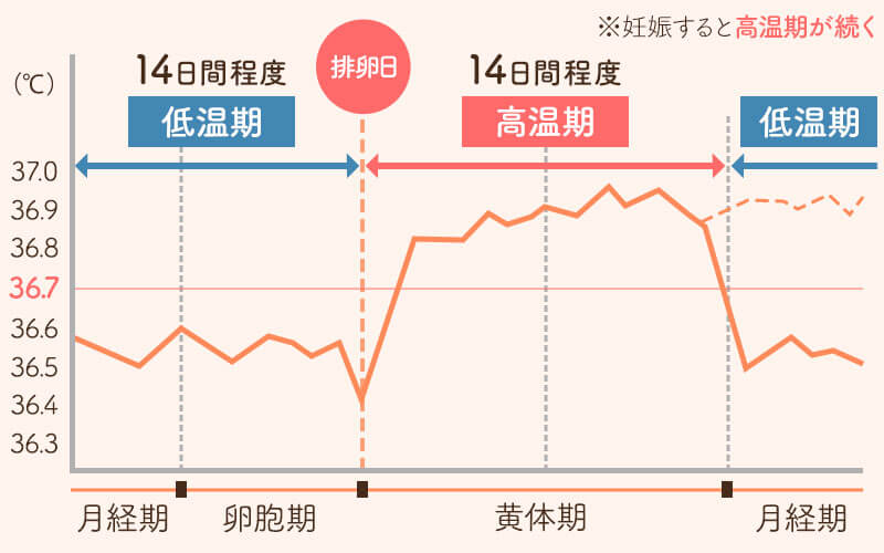 妊娠の12の初期兆候