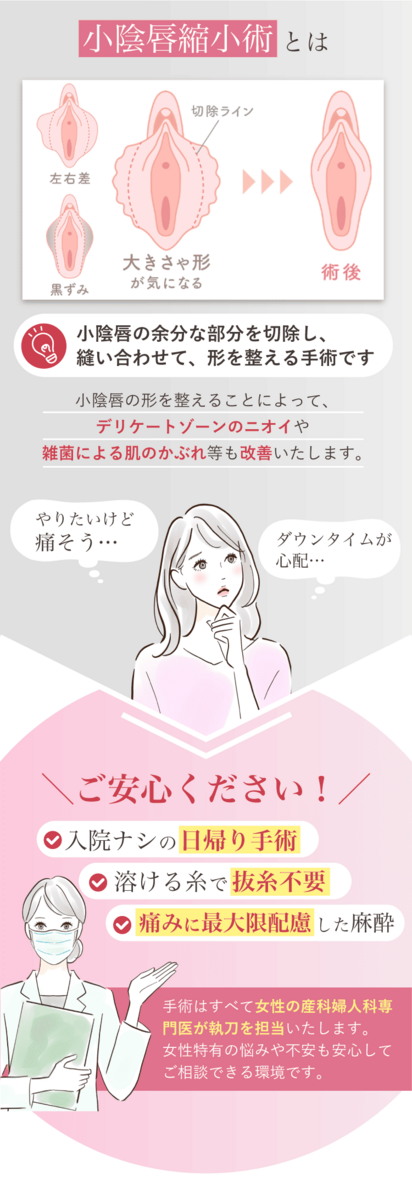 小陰唇縮小術とは